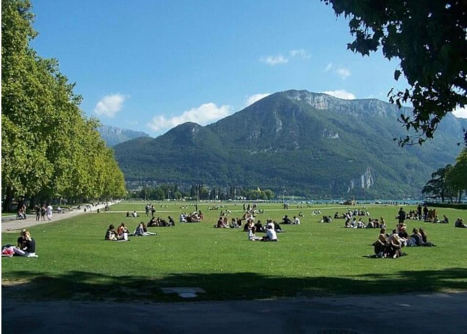 Apartamento La Petite Venise Des Alpes, Ultra Centre 1 A 5 Pers Annecy Exterior foto