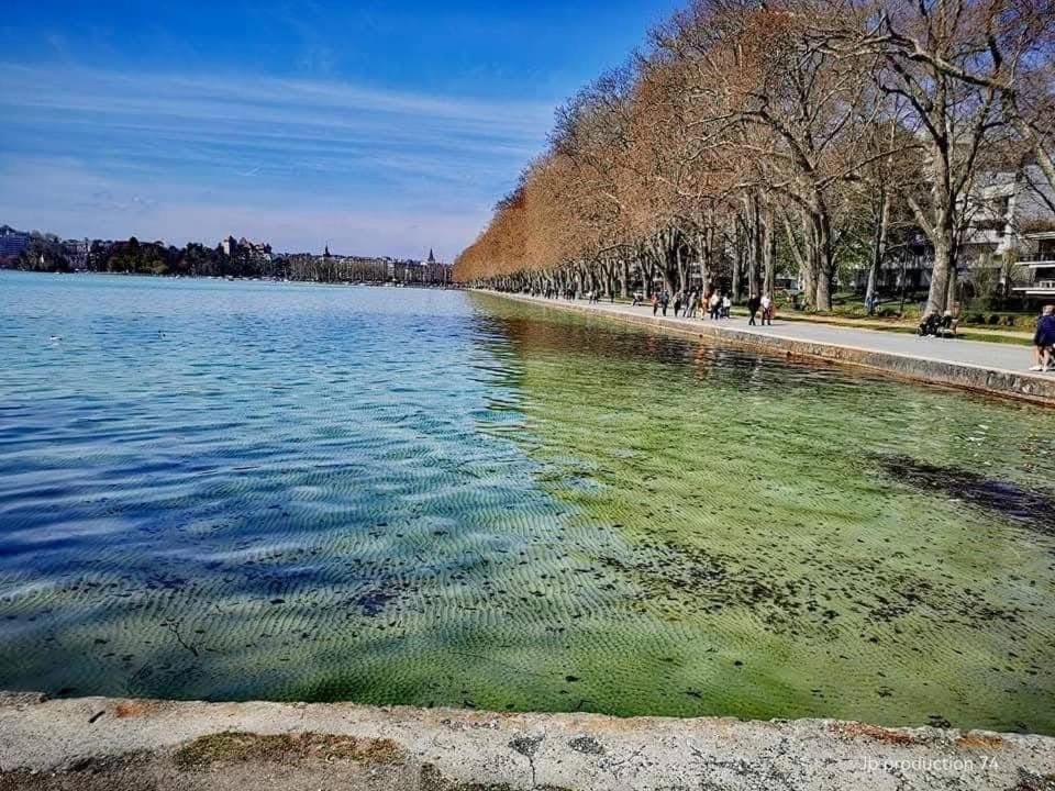 Apartamento La Petite Venise Des Alpes, Ultra Centre 1 A 5 Pers Annecy Exterior foto