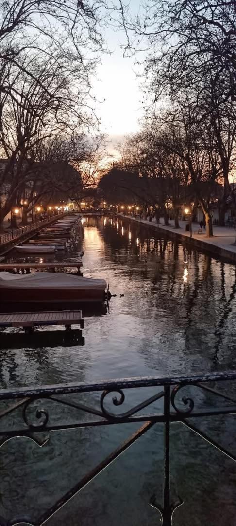 Apartamento La Petite Venise Des Alpes, Ultra Centre 1 A 5 Pers Annecy Exterior foto